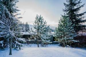 Rezydencja Marjo zimą