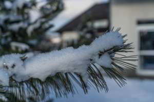 Rezydencja Marjo zimą