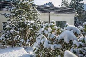 Rezydencja Marjo zimą