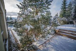 Rezydencja Marjo zimą