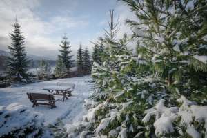 Rezydencja Marjo zimą