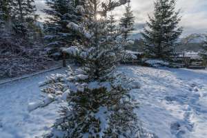 Rezydencja Marjo zimą