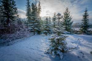 Rezydencja Marjo zimą