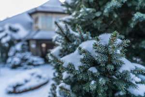 Rezydencja Marjo zimą