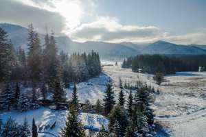 Rezydencja Marjo zimą