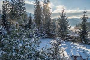 Rezydencja Marjo zimą